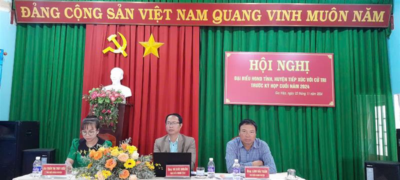 Tổ đại biểu Hội đồng nhân dân tỉnh và huyện
