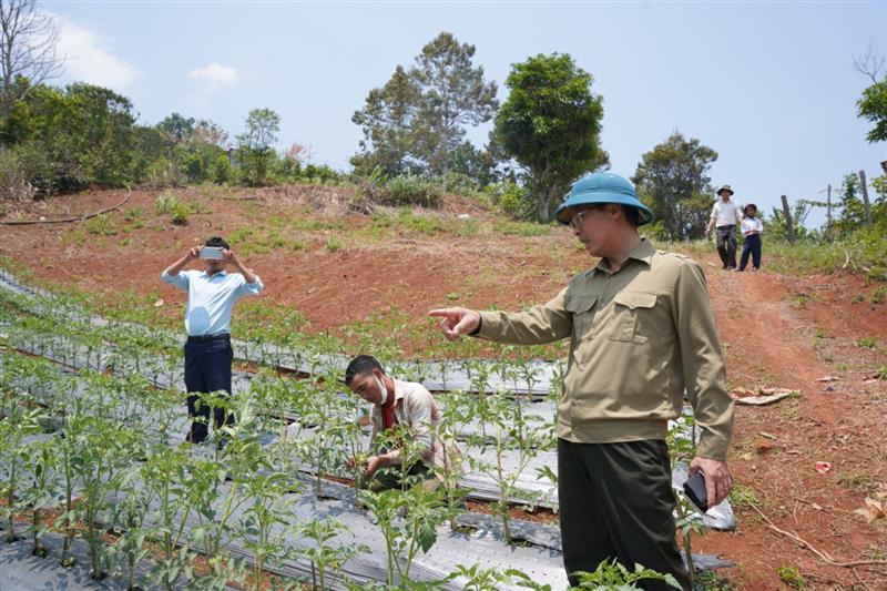 Từ chính sách dân tộc, nhiều mô hình nông nghiệp công nghệ cao của người đồng bào DTTS đã giúp nâng cao đời sống người dân